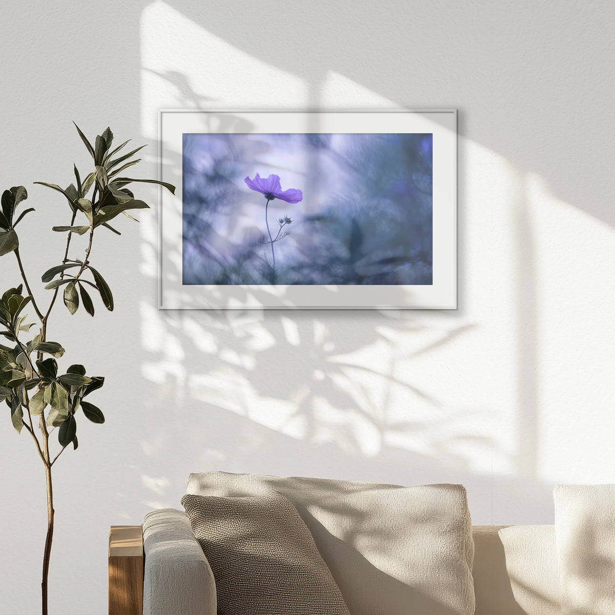 PSP093W062