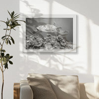 LWW030W020