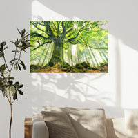 PO-075W050