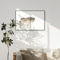 PB-100W070