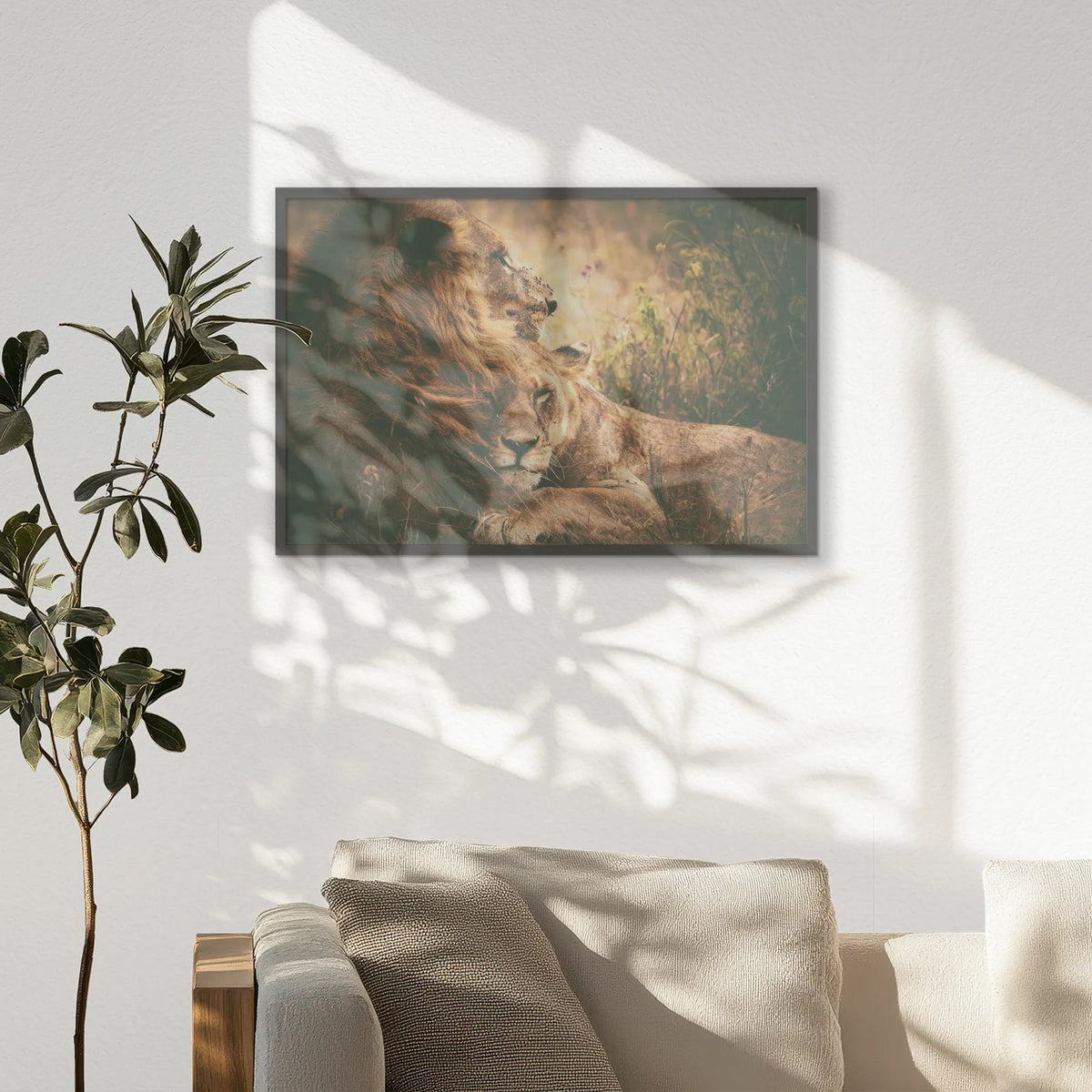 PK-093W062