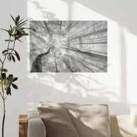 PO-030W020
