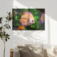 AC-090W060