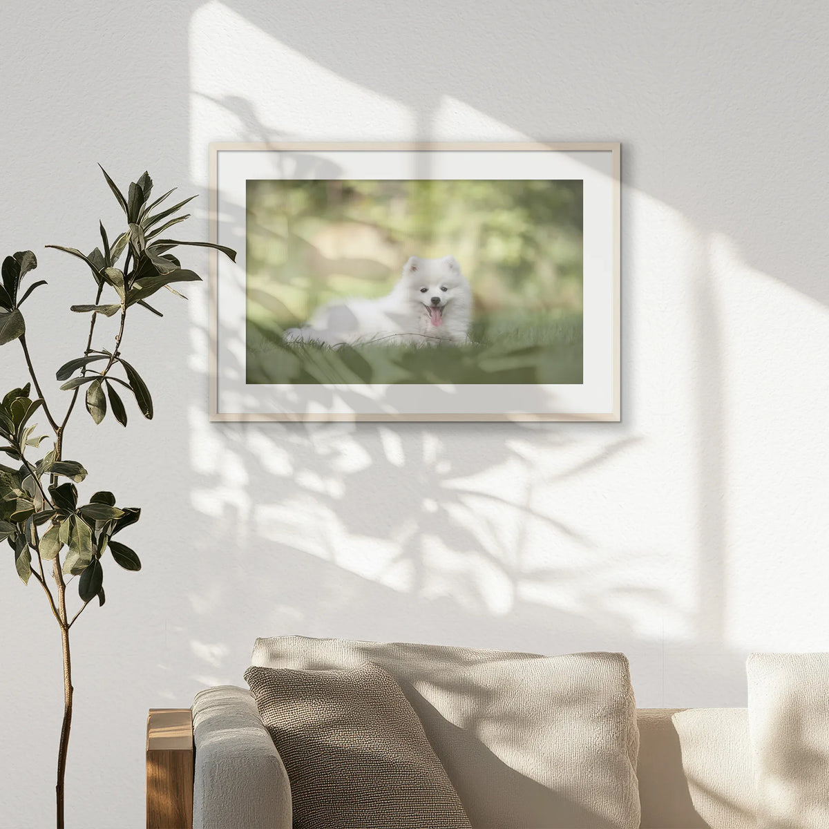 PNP093W062