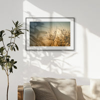PBP093W062