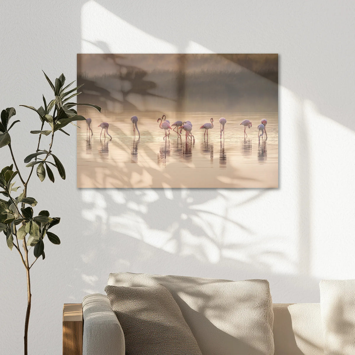 AC-075W050