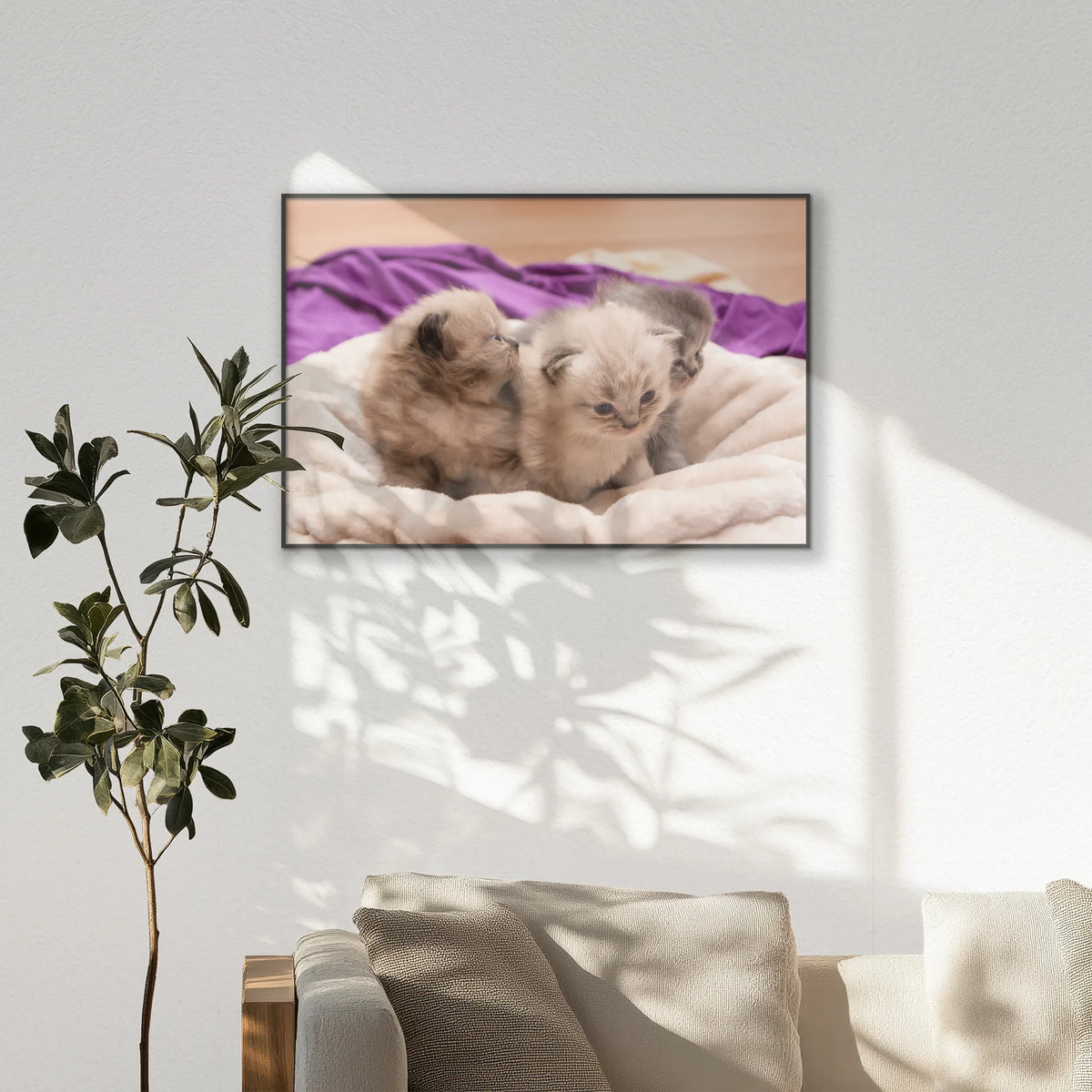 PB-100W070
