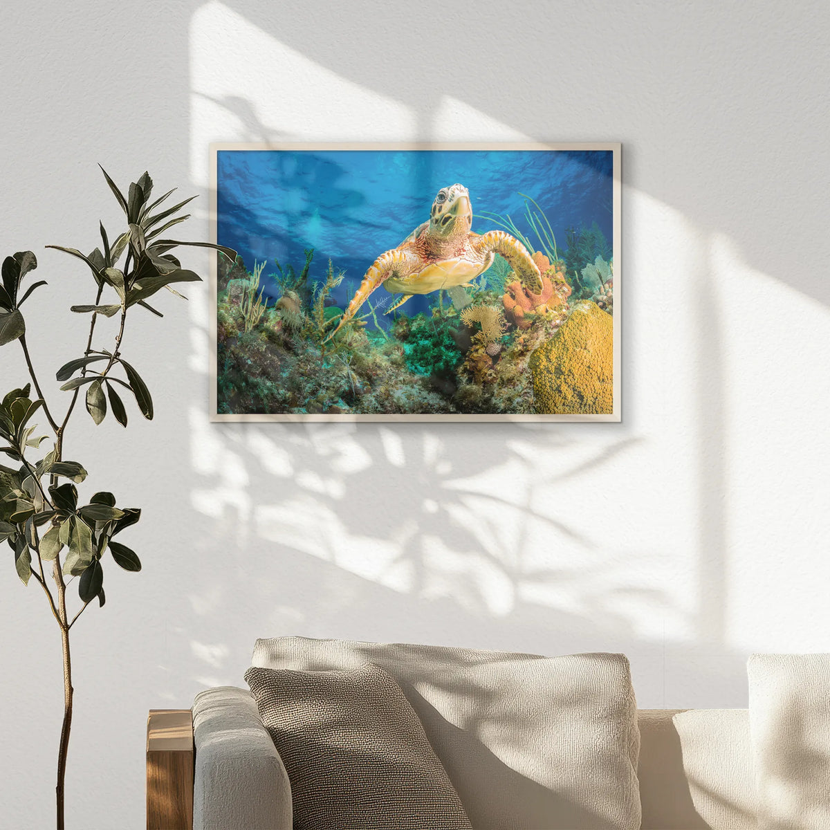 PN-093W062