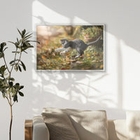 PW-093W062