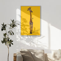 LWW080W120