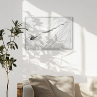 PS-093W062