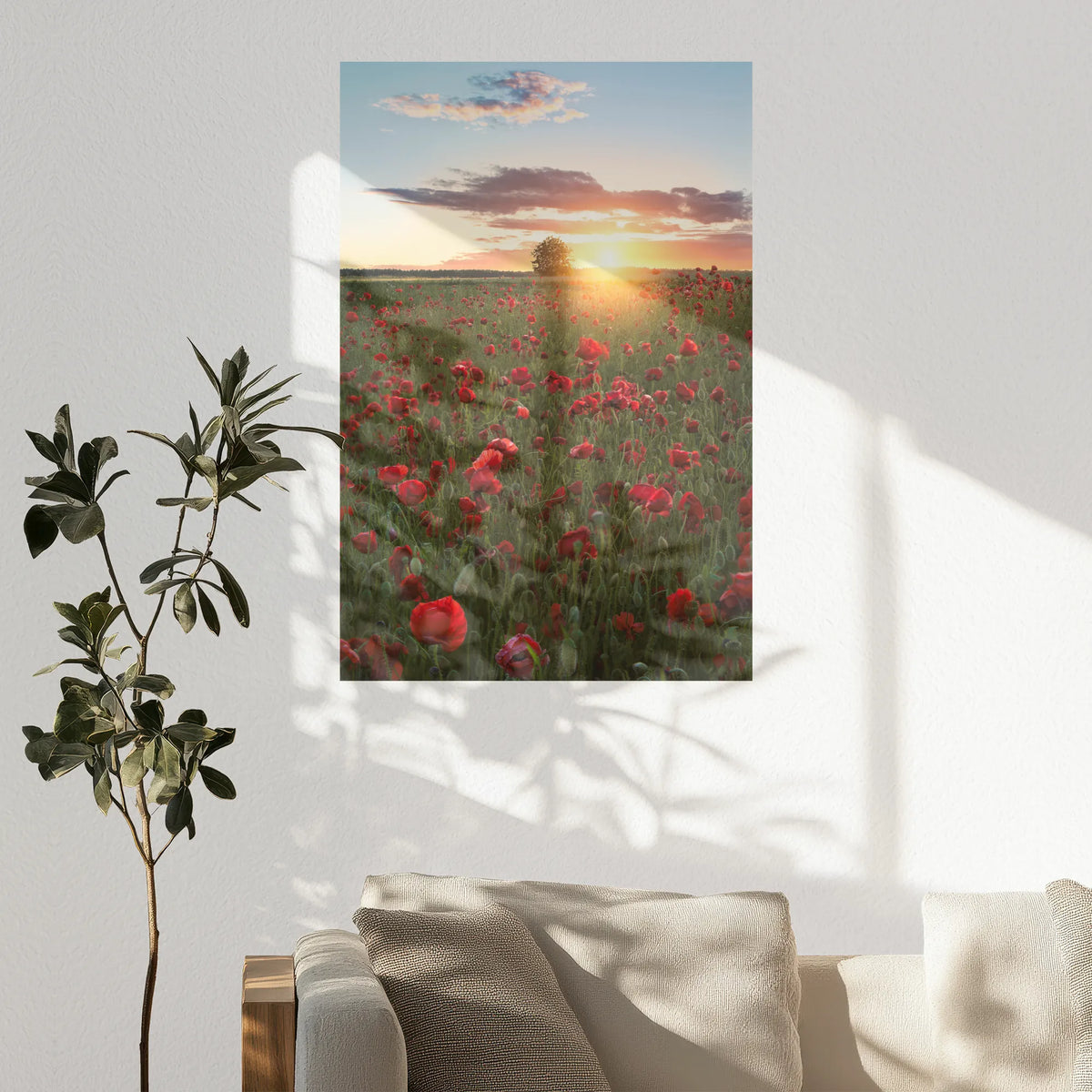 PO-080W120