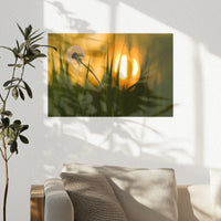 PO-045W030