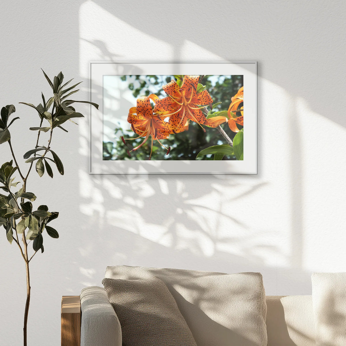 PSP093W062