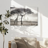 AC-060W040