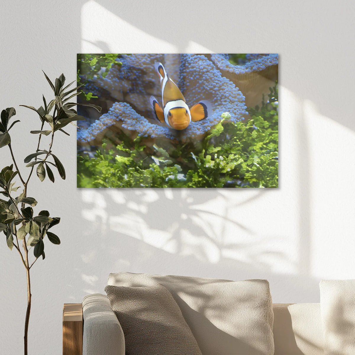 AC-075W050