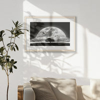 PNP060W040