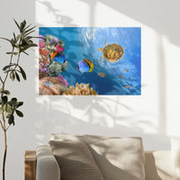 PO-030W020
