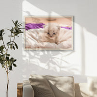 PN-060W040