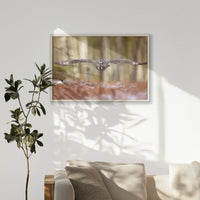 PN-100W070