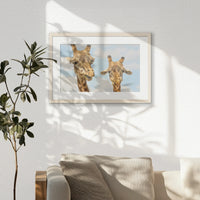 PNP060W040