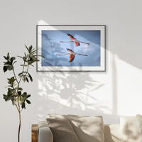 PBP120W080
