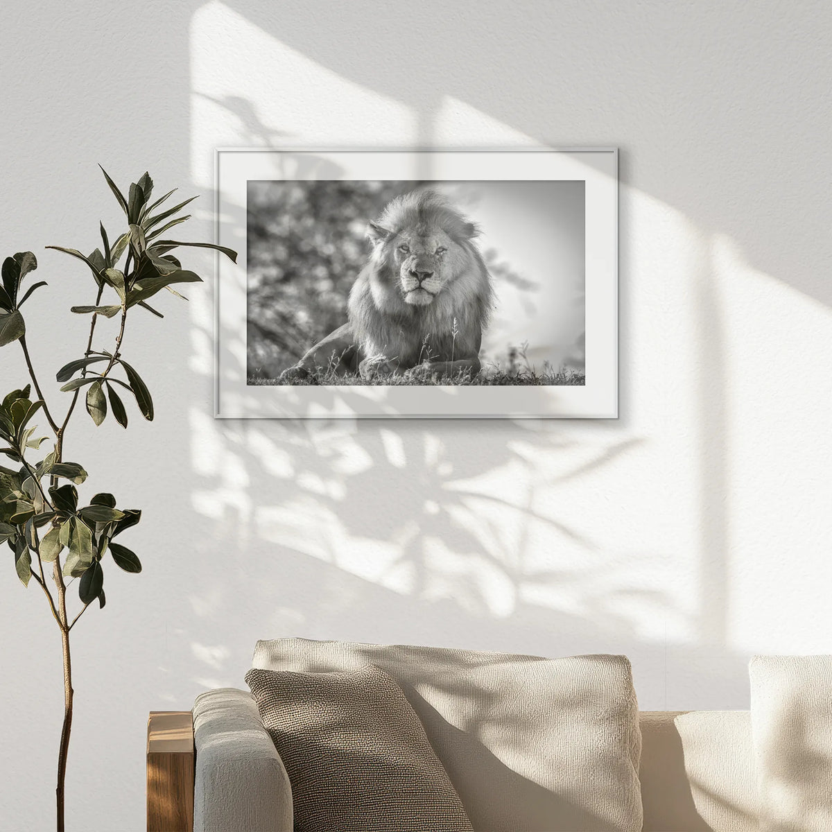 PSP093W062