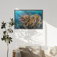 LWN100W070
