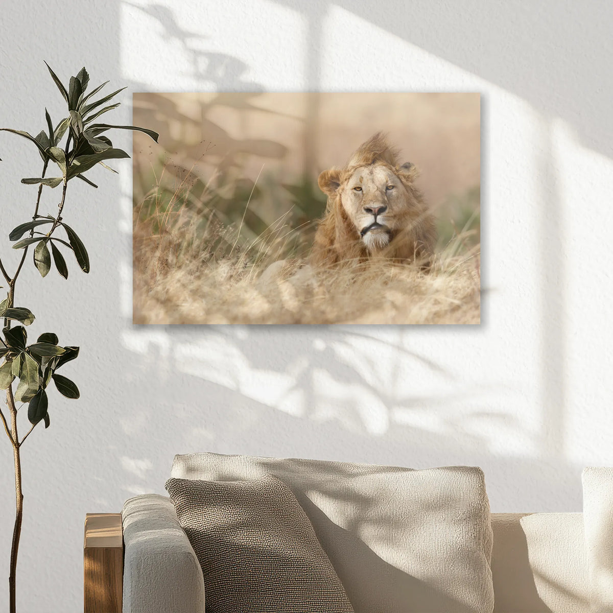 AC-030W020