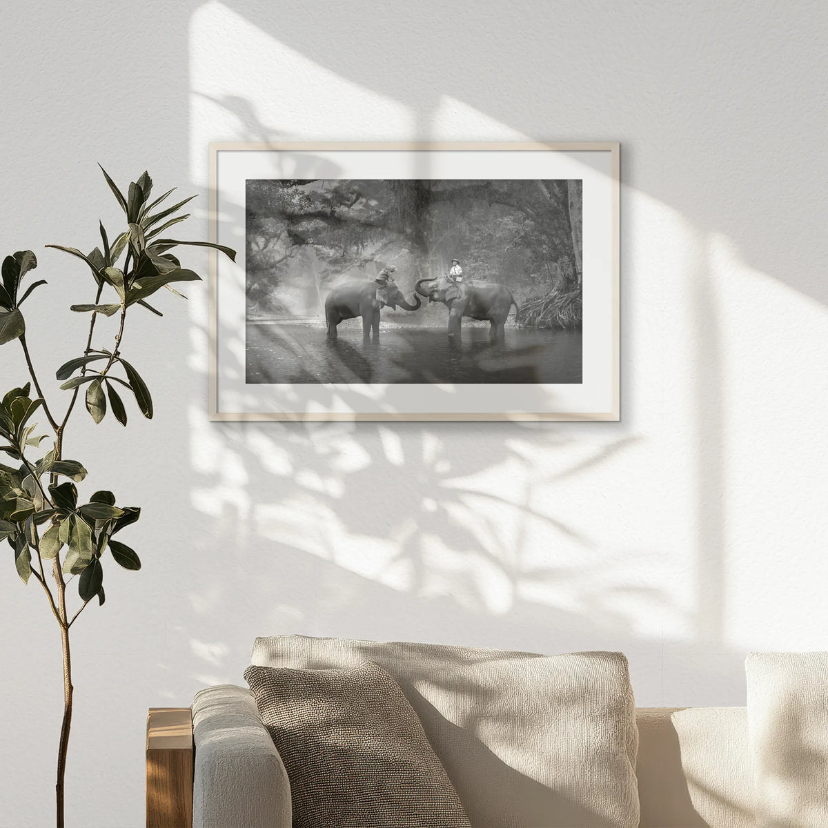 PNP093W062