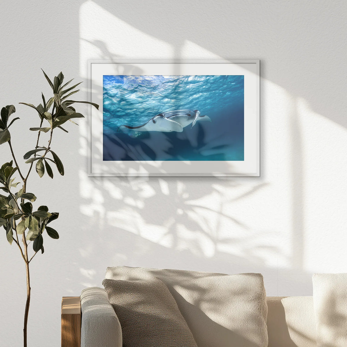 PWP093W062