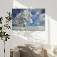 AL-060W040