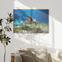 AC-060W040