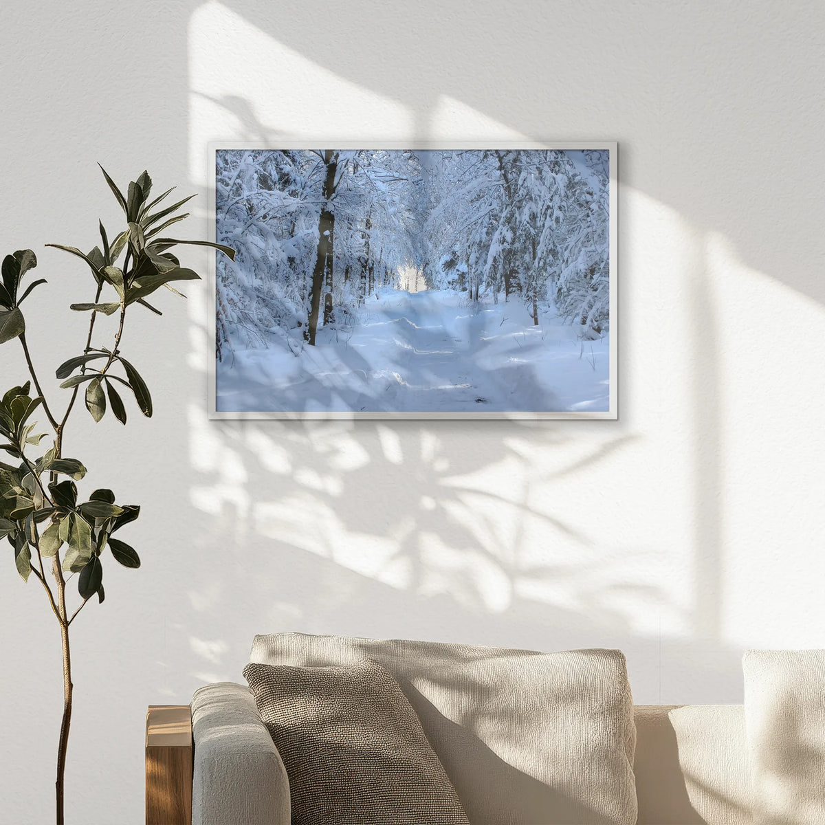 PW-093W062