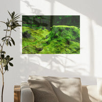 PO-045W030