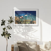 PSP120W080