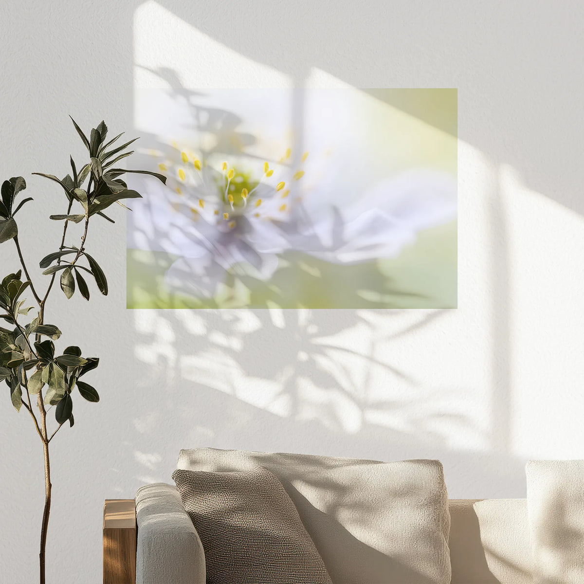 PO-075W050