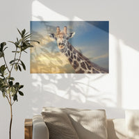 PO-075W050