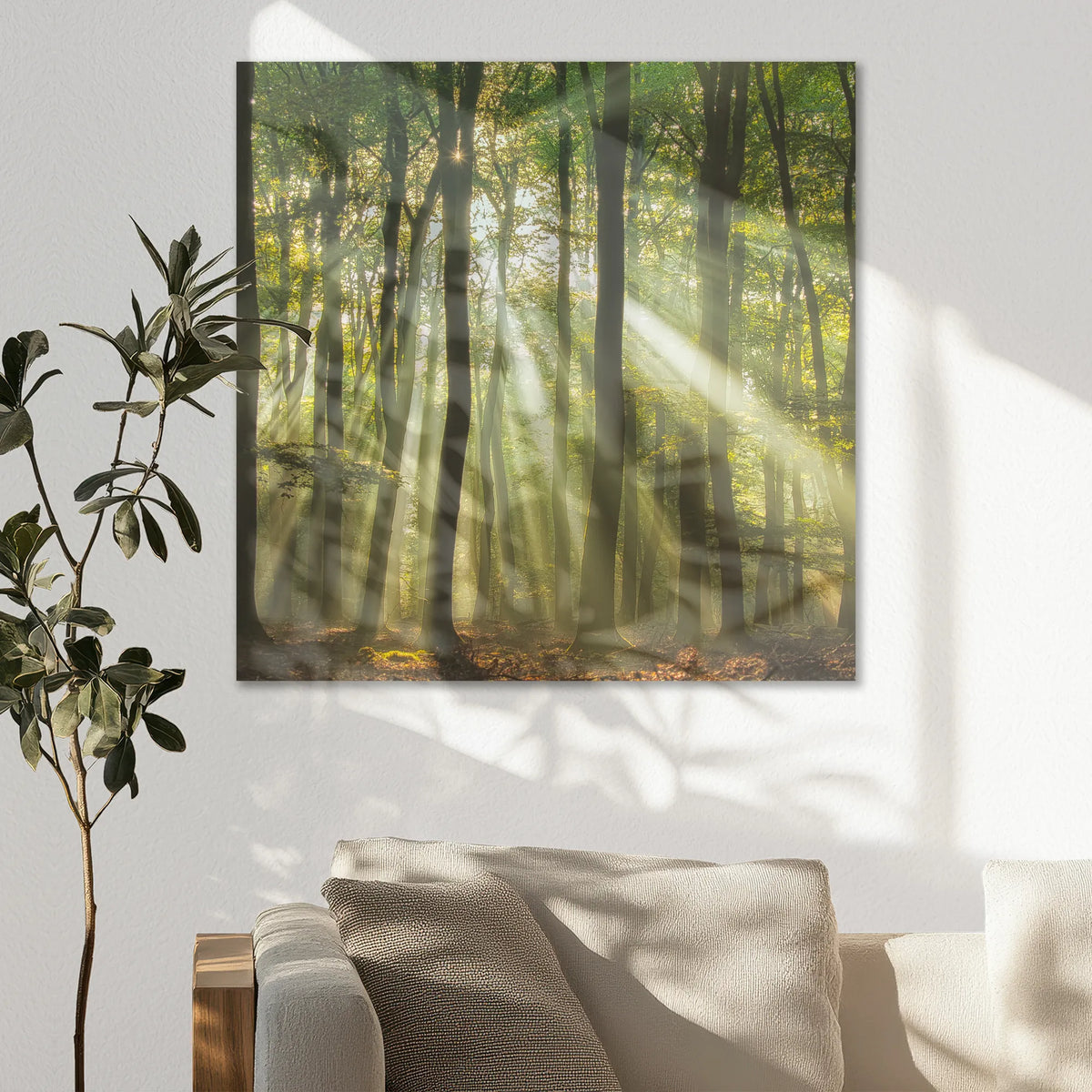 AL-080W080