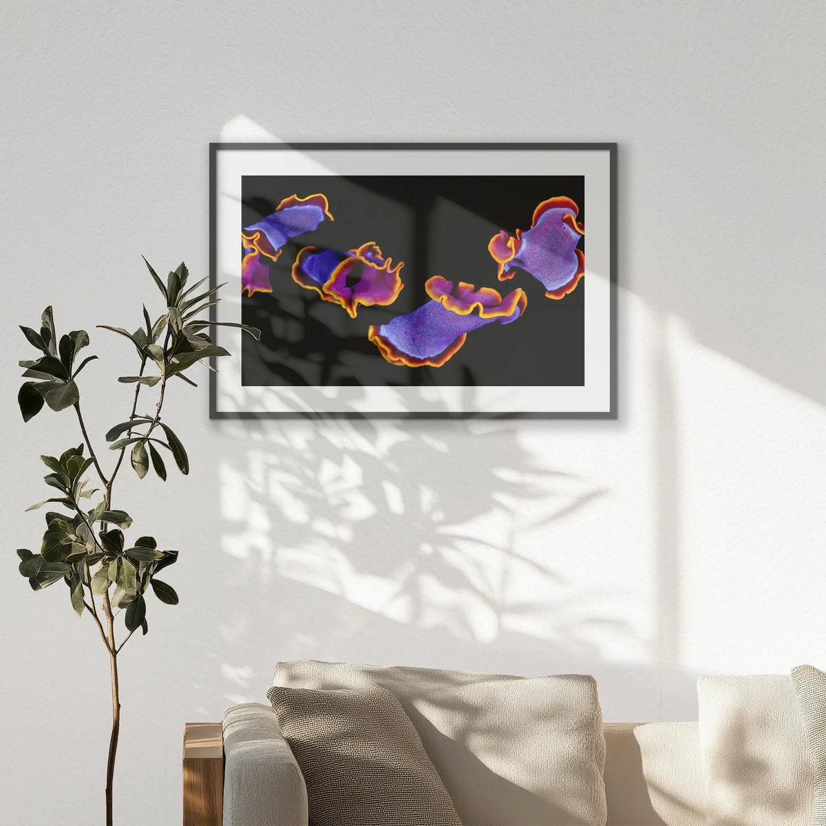 PKP100W070