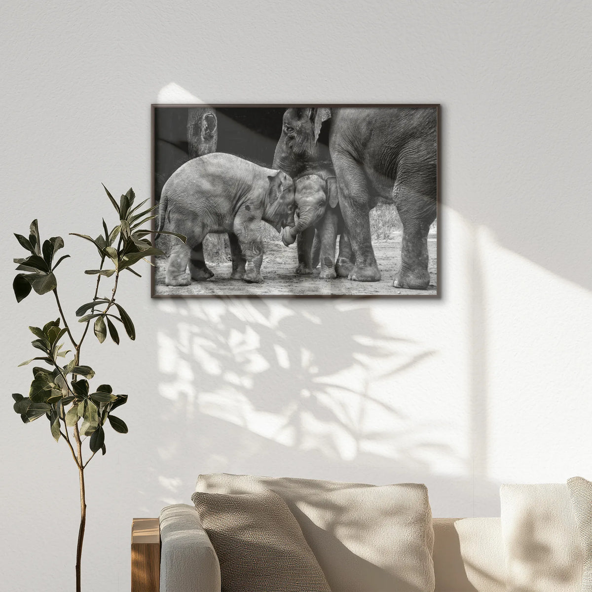 LWN120W080