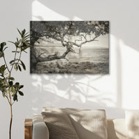 LW-075W050