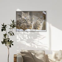 LWW120W080