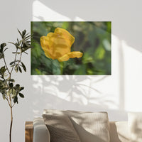 PO-075W050