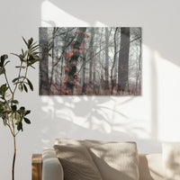 AC-075W050