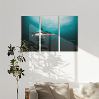 AL-150R100