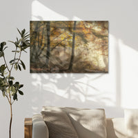 AL-075W050