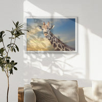 PW-060W040