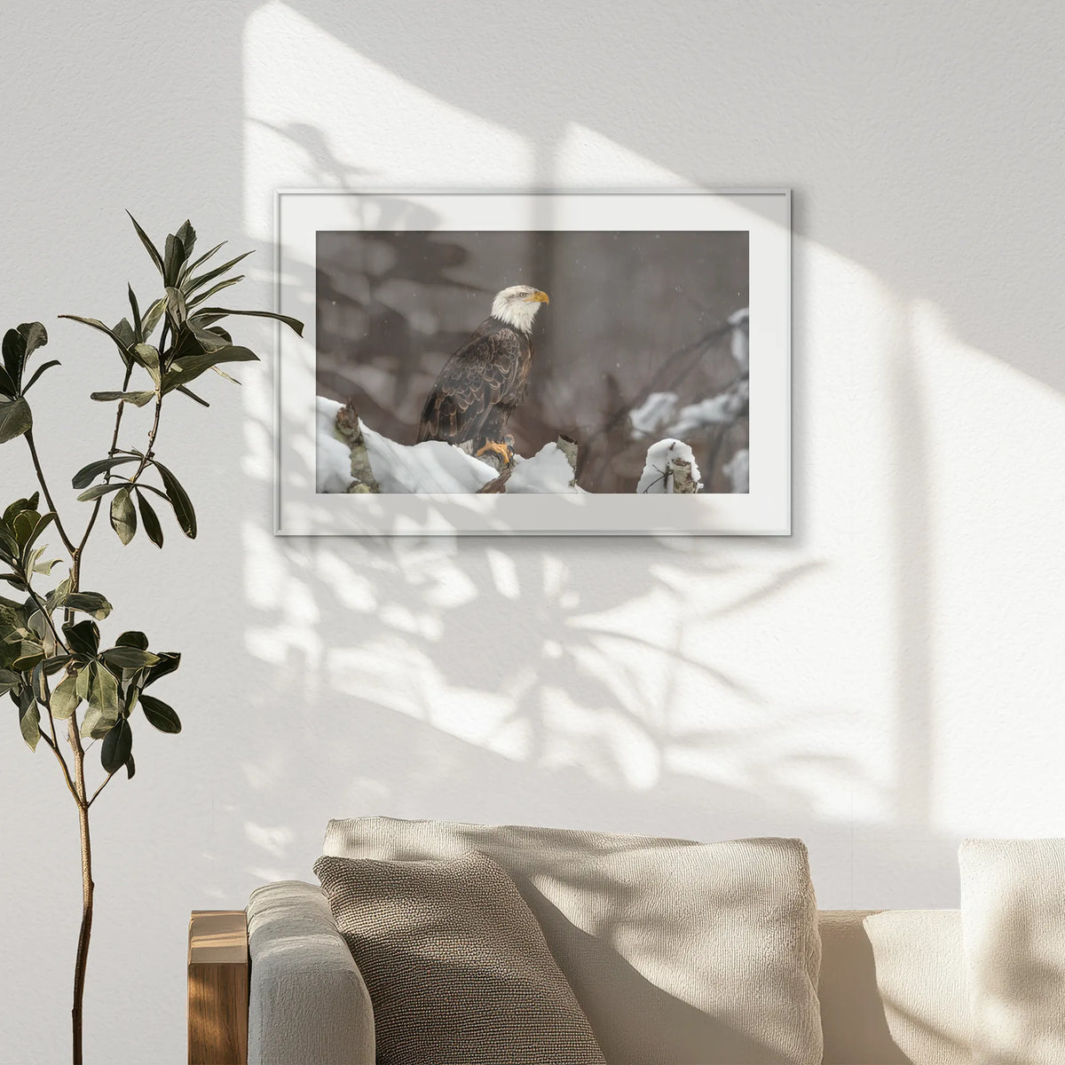 PSP093W062