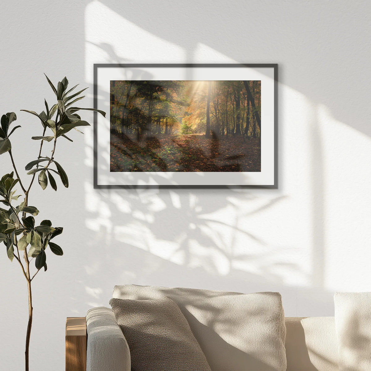 PKP093W062